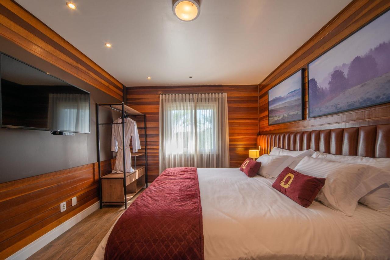 Hotel Divisa Experience